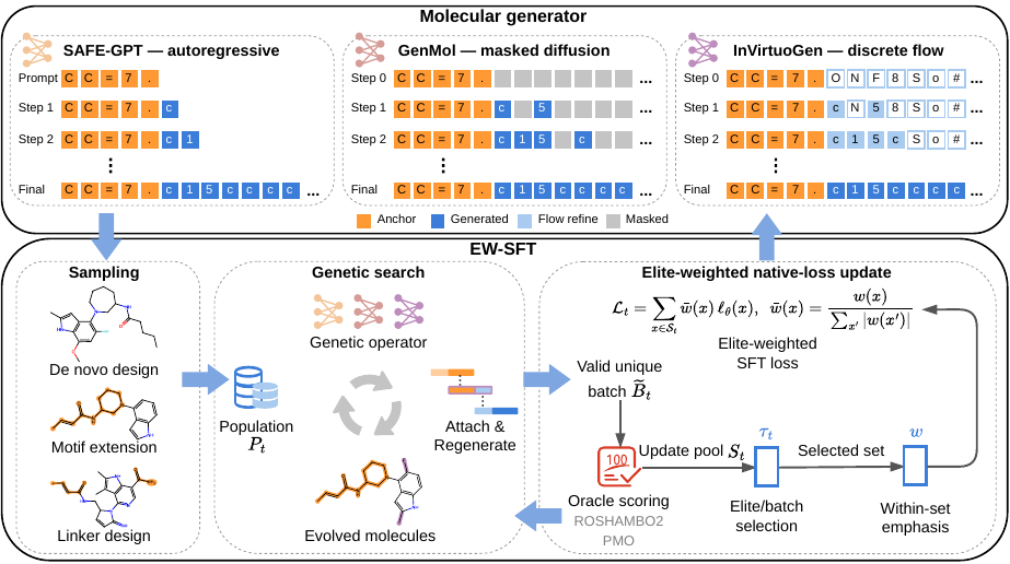 EW-SFT workflow: molecular generators sample candidates, genetic search evolves molecules, oracle scoring selects an elite set, and the generator is updated with an elite-weighted native loss.